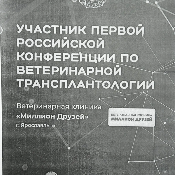 Бахтеев Камил Ринатович