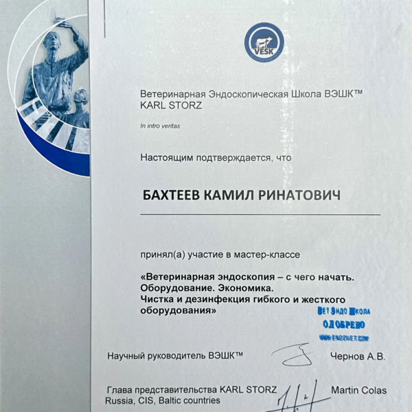 Бахтеев Камил Ринатович