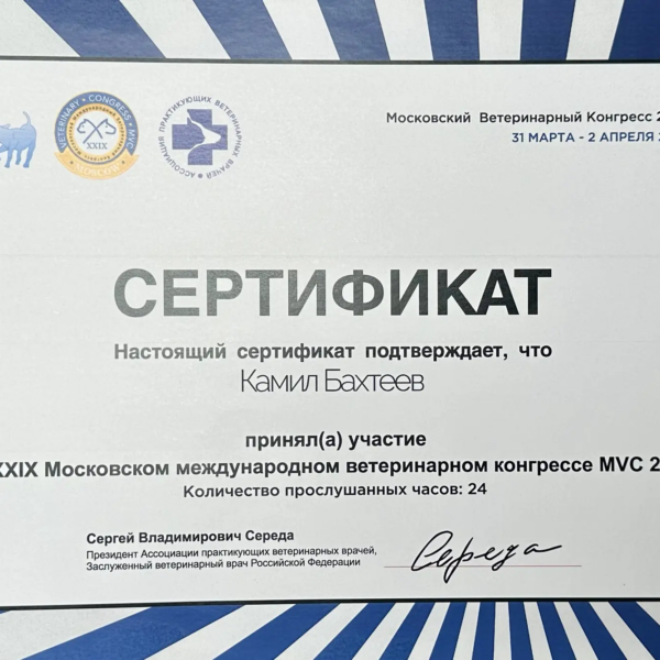 Бахтеев Камил Ринатович