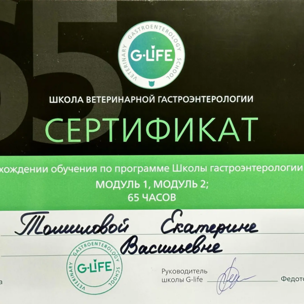 Томилова Екатерина Васильевна