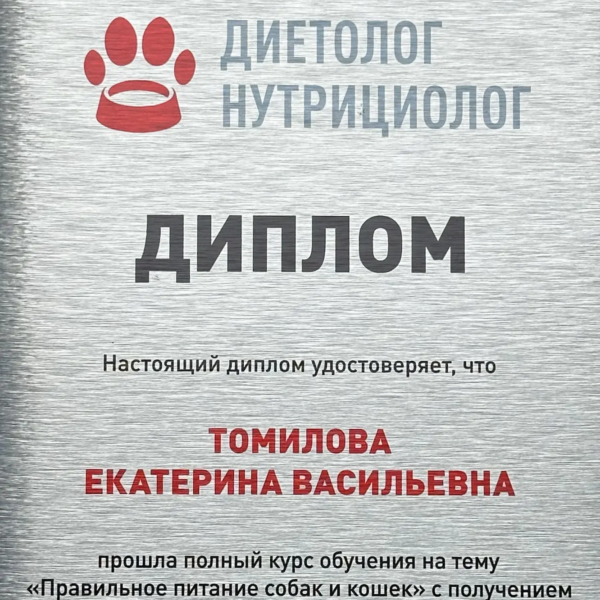 Томилова Екатерина Васильевна