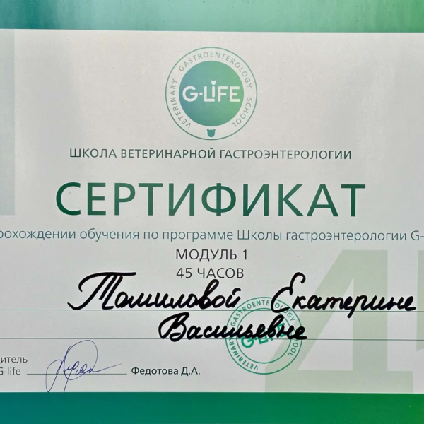 Томилова Екатерина Васильевна
