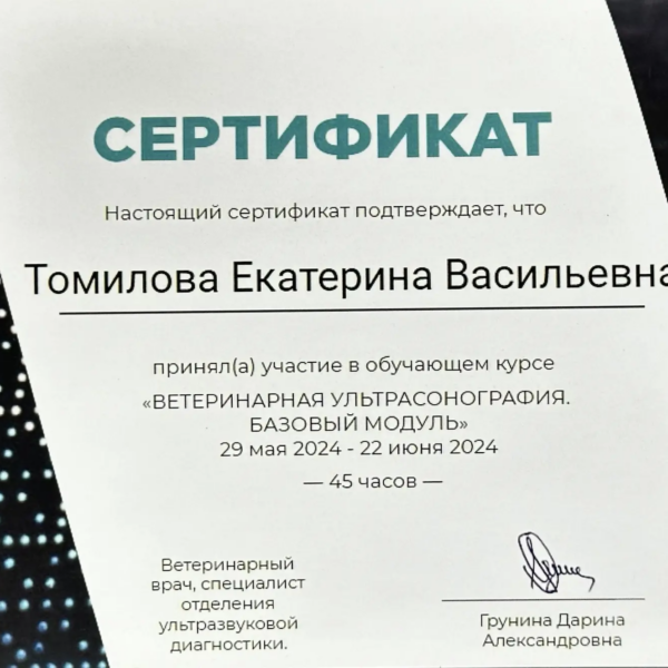 Томилова Екатерина Васильевна