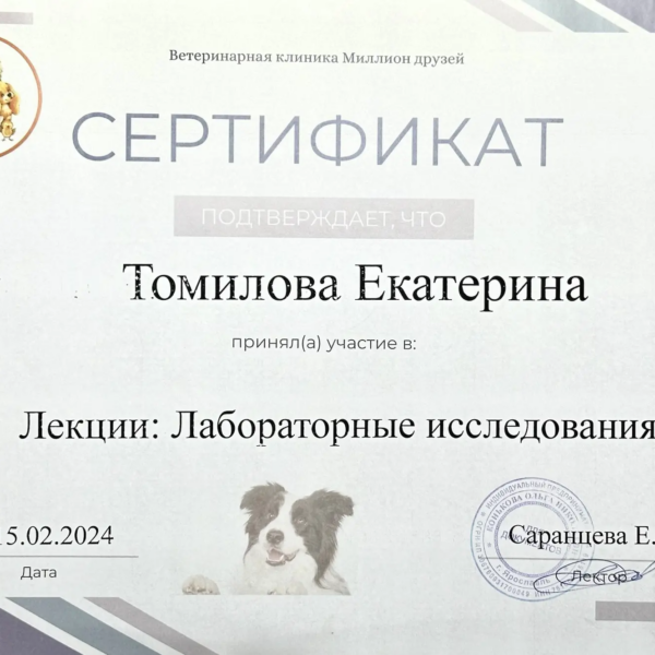 Томилова Екатерина Васильевна